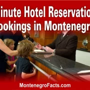 Last-Minute Hotel Reservations and Bookings