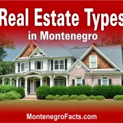 Property Types in Montenegro